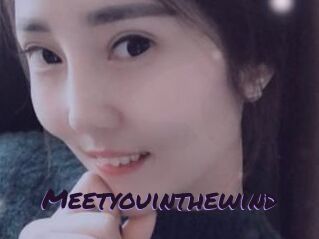 Meetyouinthewind