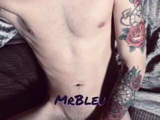 MrBleu