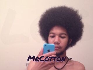 MrCotton