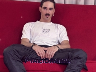 Mariohawk