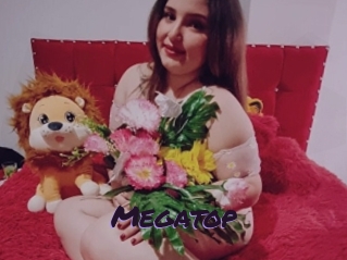 Megatop