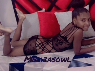 Melizasowl