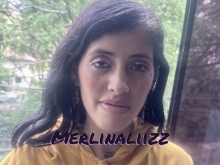 Merlinaliizz