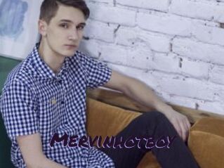 Mervinhotboy