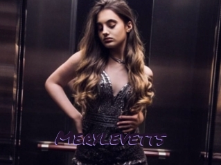 Merylevetts
