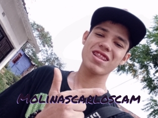 Molinascarloscam