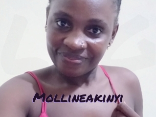 Mollineakinyi