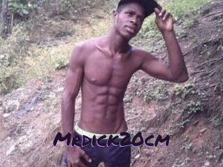 Mrdick20cm