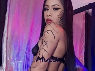Mucci