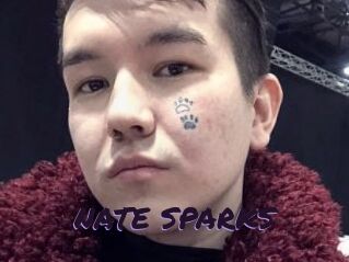 NATE_SPARKS