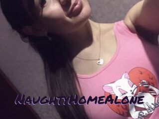 NaughtyHomeAlone