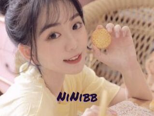 NiNibb