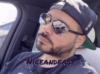 Niceandeasy