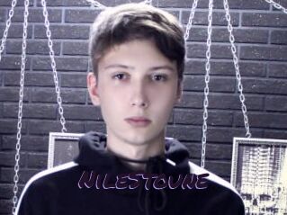 NileStoune