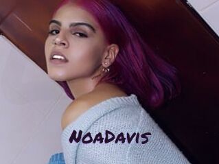 NoaDavis