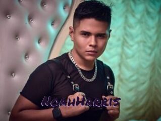 NoahHarris