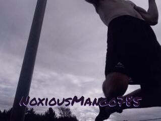 NoxiousMango785
