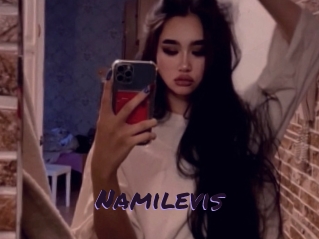 Namilevis