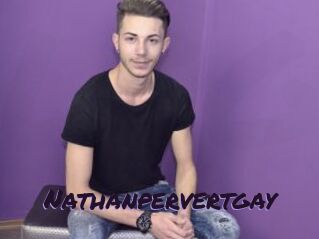 Nathanpervertgay