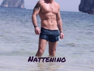 Nattenino