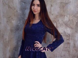 Nicecatt