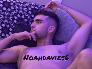 noahdavies6 Le Cul Gratuit