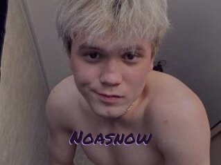 Noasnow