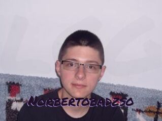 Norbertobadzso