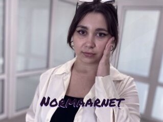 Normaarnet