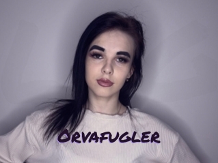 Orvafugler