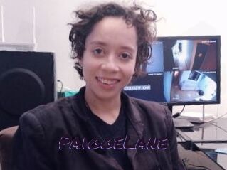 PaiggeLane