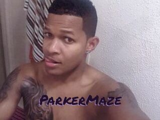 Parker_Maze