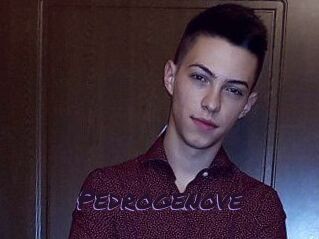 Pedrogenove
