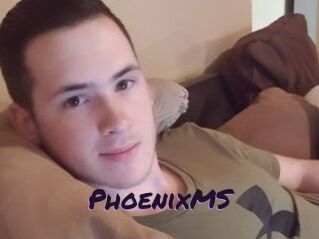 PhoenixMS