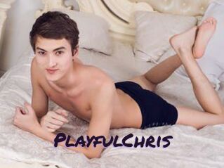 PlayfulChris