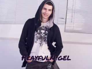 PlayfulNigel