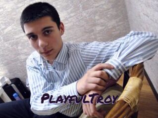 PlayfulTroy