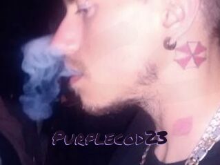 Purplecod23