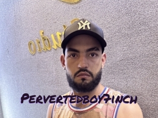 Pervertedboy7inch