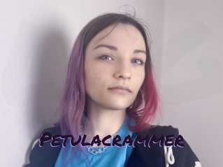 Petulacrammer