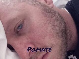 Pgmate