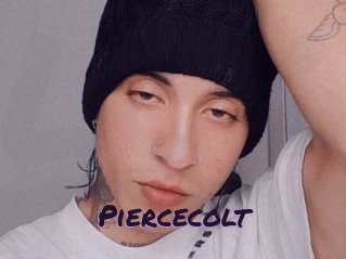 piercecolt Le Cul Gratuit