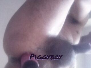Piggyboy