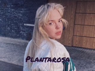 Plantarosa