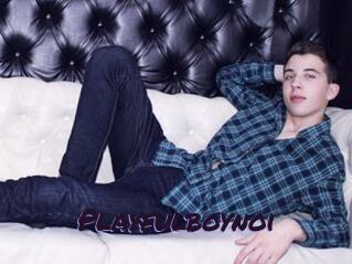 Playfulboynoi
