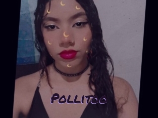 Pollitoo