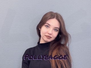 Pollybagge