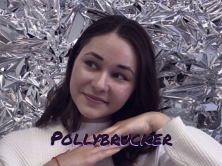Pollybrucker