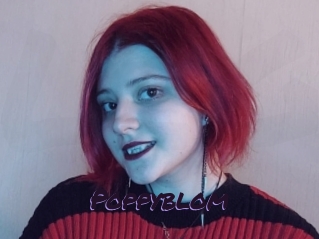 Poppyblom