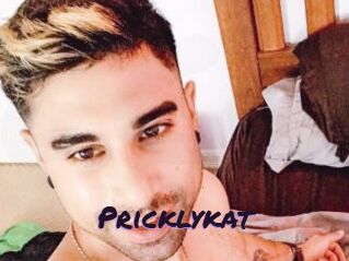 Pricklykat
